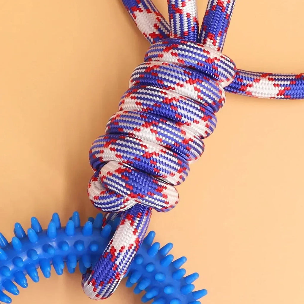 Colorful Woven Nylon Rope and Rubber Dog Toy | Chew Resistant Outdoor Play