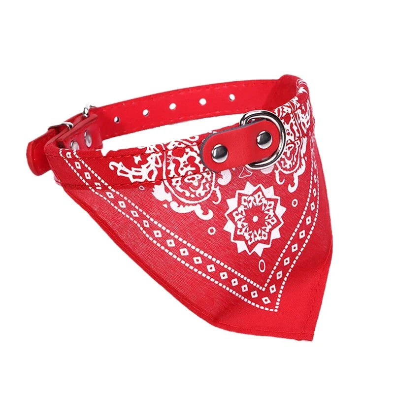 Majestic Pet Kingdom - Adjustable PU Dog Cat Collar with Detachable Scarf | Pet Accessories for Small Medium Dogs and Cats View 11