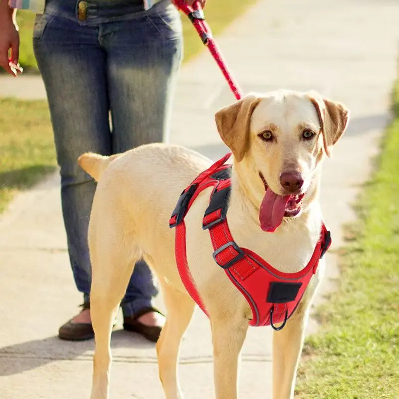 No Pull Dog Harness with Locator Silicone Protective Cover Anti slip Adjustable Pet Chest Harness for Medium & Large Dogs - Majestic Pet Kingdom