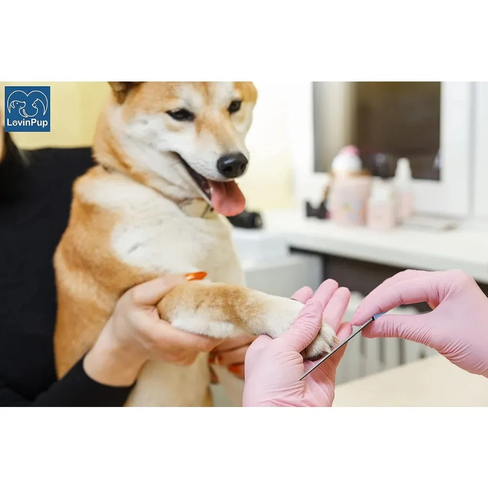 Dog Nail Grinder Electric Low Noise USB Cordless Claw Trimmer - Detail Angle 3 | Majestic Pet Kingdom