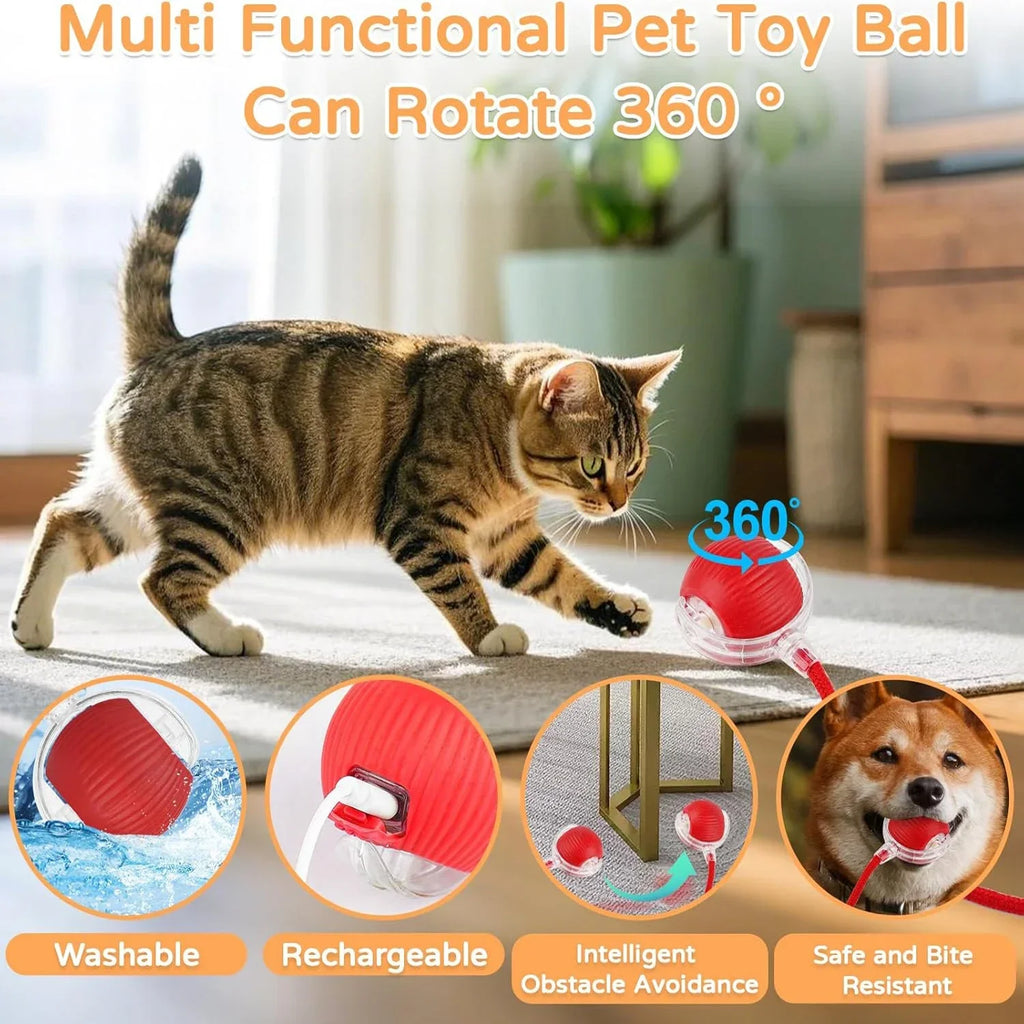 iLMH 1/2 PCS Cat Interactive Ball Toy Automatic Rolling Ball Faux Tail Rechargeable Smart Pet Electric Toy Pet Toy Imitate Mouse - Majestic Pet Kingdom