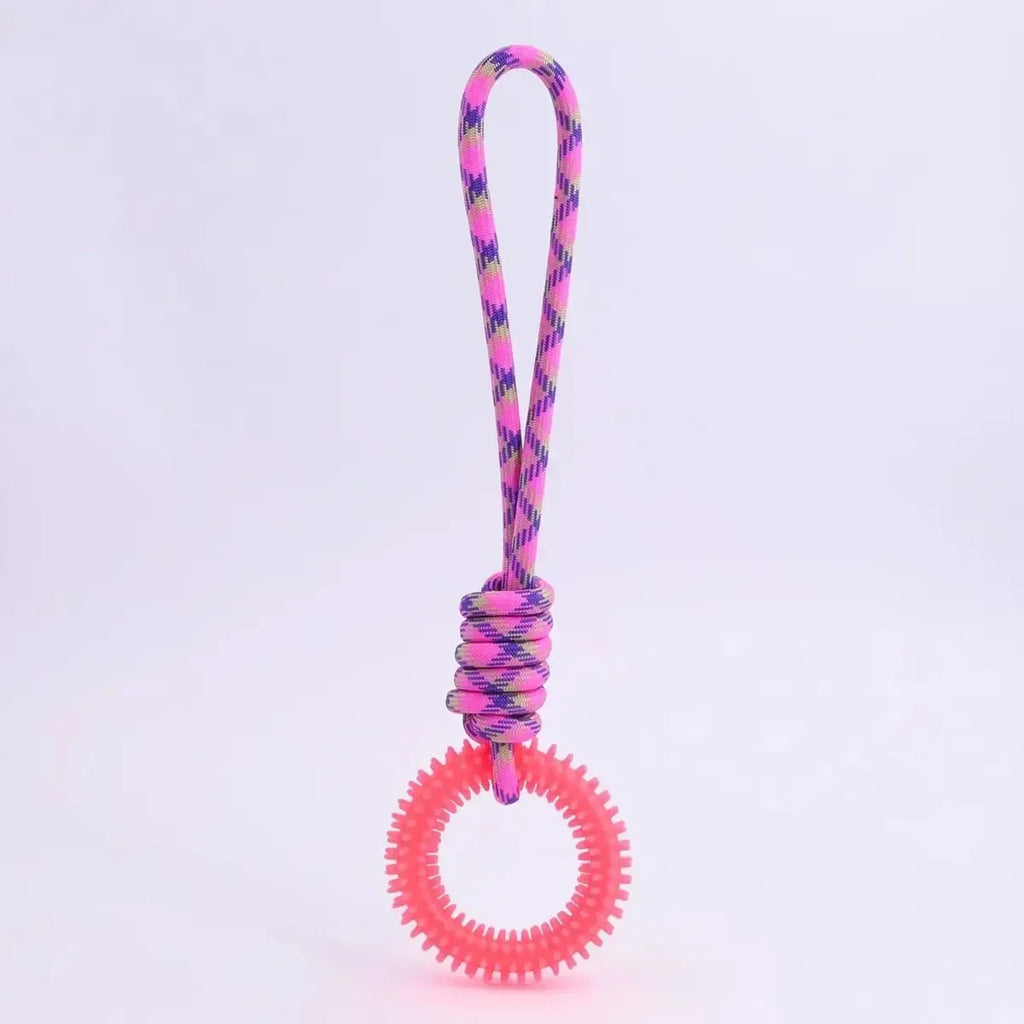 Colorful Woven Nylon Rope and Rubber Dog Toy | Chew Resistant Outdoor Play