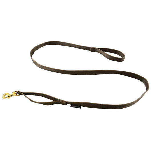 Leashes Seatbelt