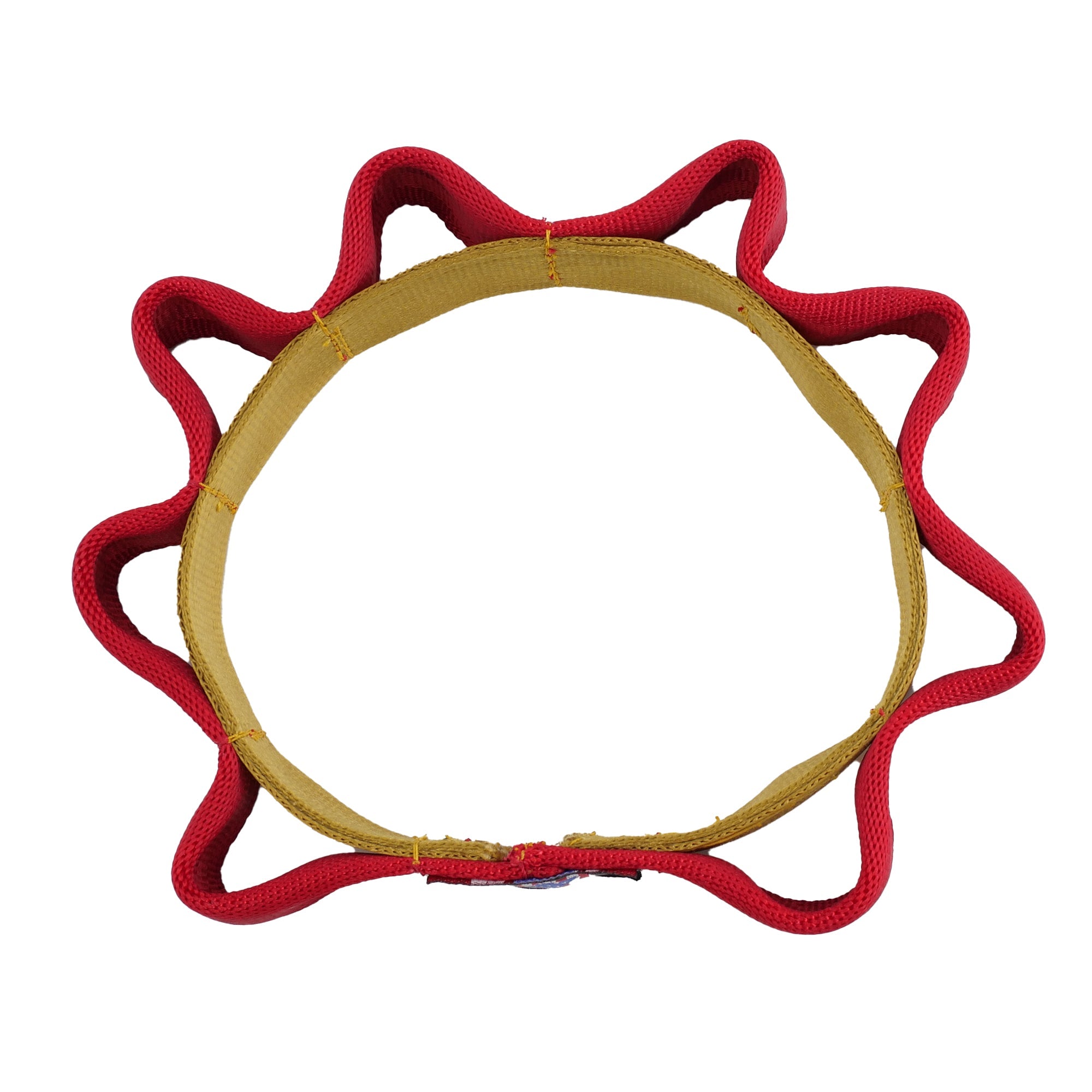 Seatbelt Sprocket Tug Flyer Dog Toy – Tug & Fetch