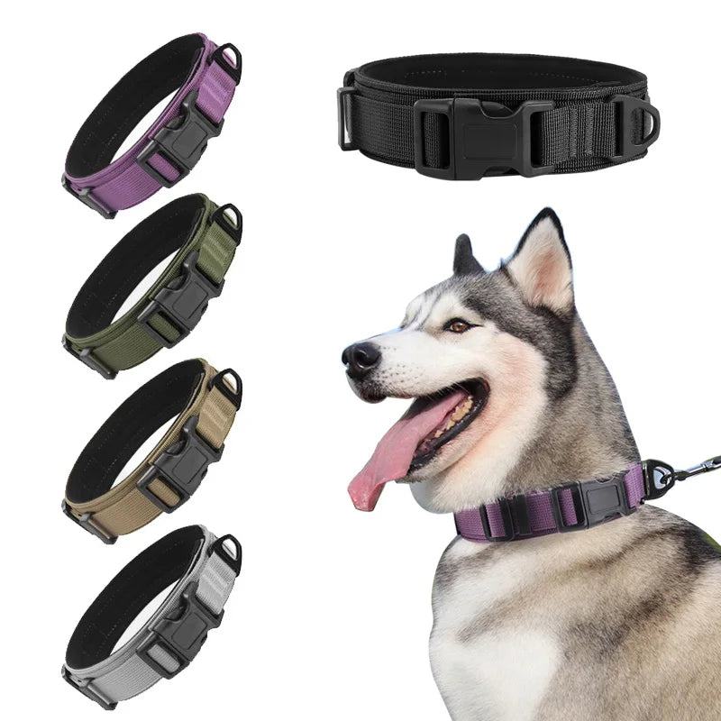 Large Medium Dog Tactical Collar High Strength Tensile Explosion-Proof Pet Collar Outdoor Training Supplies for Canines - Purple | Purrfect Pet Kingdom