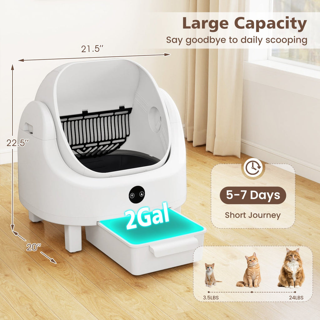 Self-Cleaning Cat Litter Box with APP Control & Open Top - Majestic Pet Kingdom