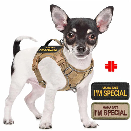 Tactical Dog Harness for Small Dogs - Military Service Dog Vest with | Majestic Pet Kingdom™