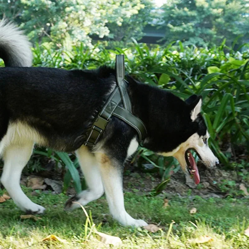 Outdoor Training Vest A7 Dog Traction Rope Dog Harness 1000D Nylon Adjustable Tactical Anti-Pull Dog Harness for Large Dogs - army green | Purrfect Pet Kingdom