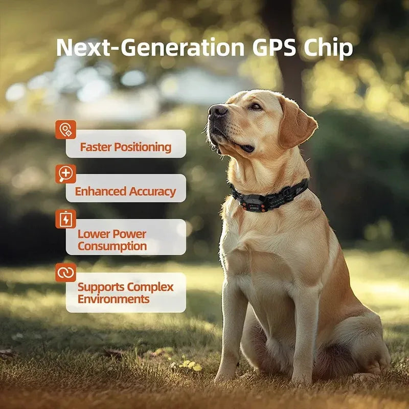 GPS Dog Fence Wireless Smart Pet Training Collar Invisible OLED