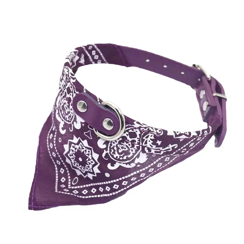 Majestic Pet Kingdom - Adjustable PU Dog Cat Collar with Detachable Scarf | Pet Accessories for Small Medium Dogs and Cats View 7
