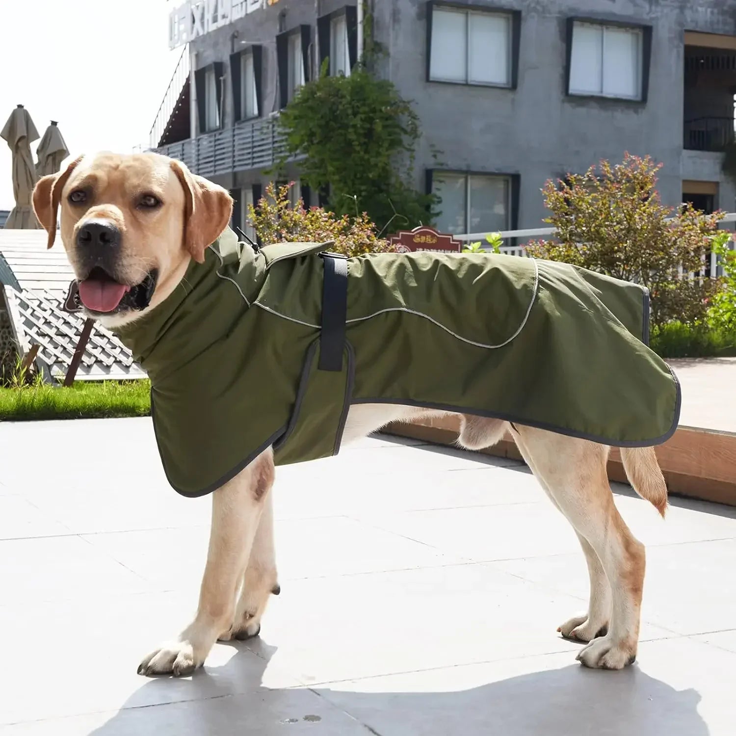 Winter Clothes for Dogs Windproof Vest Adjustable Clothes with Harness Cold Weather Waterproof Outfit for Small Medium Large Dog - Green | Purrfect Pet Kingdom