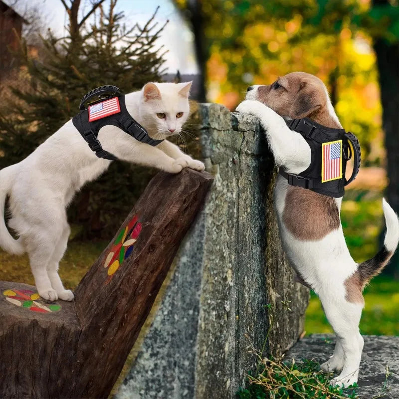 Tactical Small Dog Harness For Puppy Cats Adjustable Kitten Vest Harnesses For Military Dogs Working Training Walking Free Size - black | Purrfect Pet Kingdom
