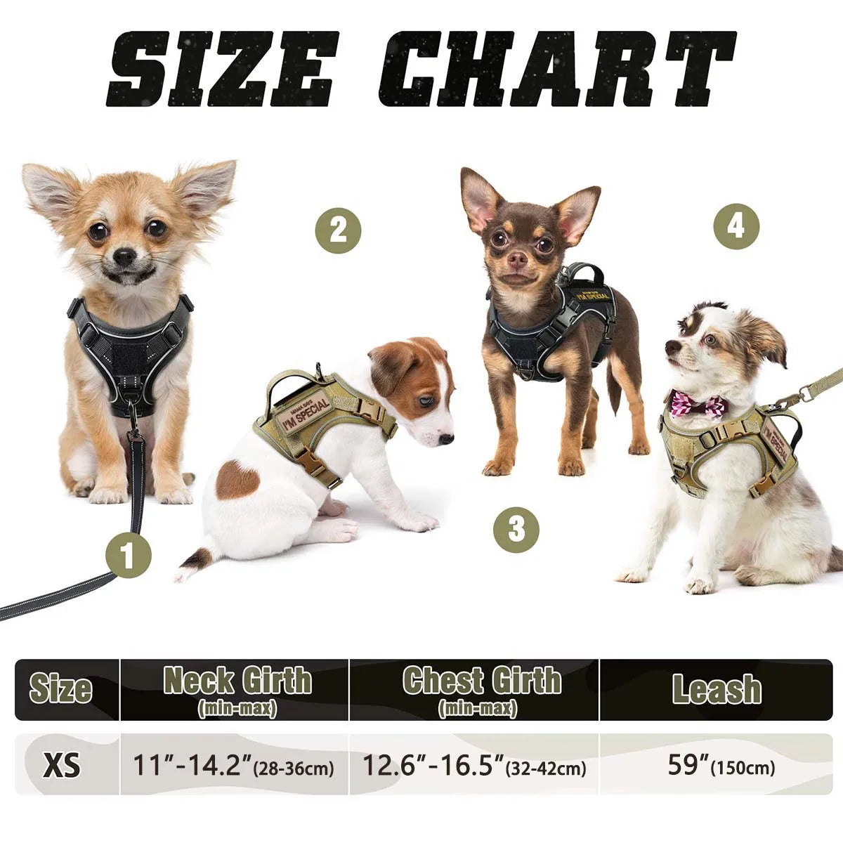 Luxury Pet Essentials - Purrfect Pet Kingdom™