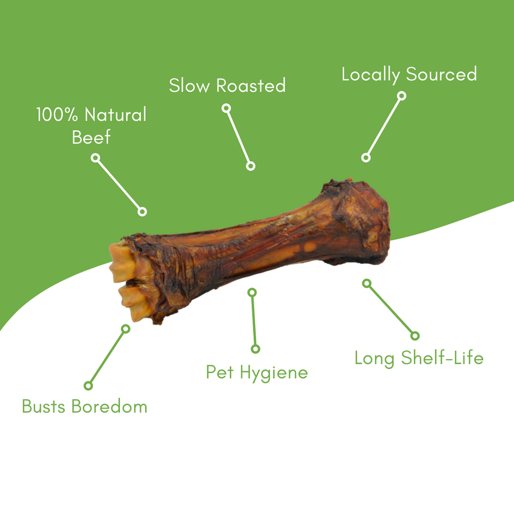 Shank Beef Bone