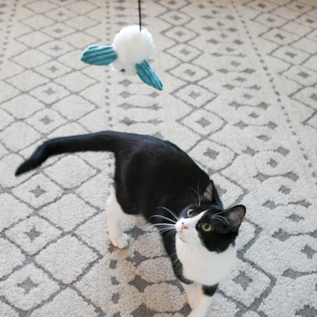 Pet Supply Product | The Finest Market