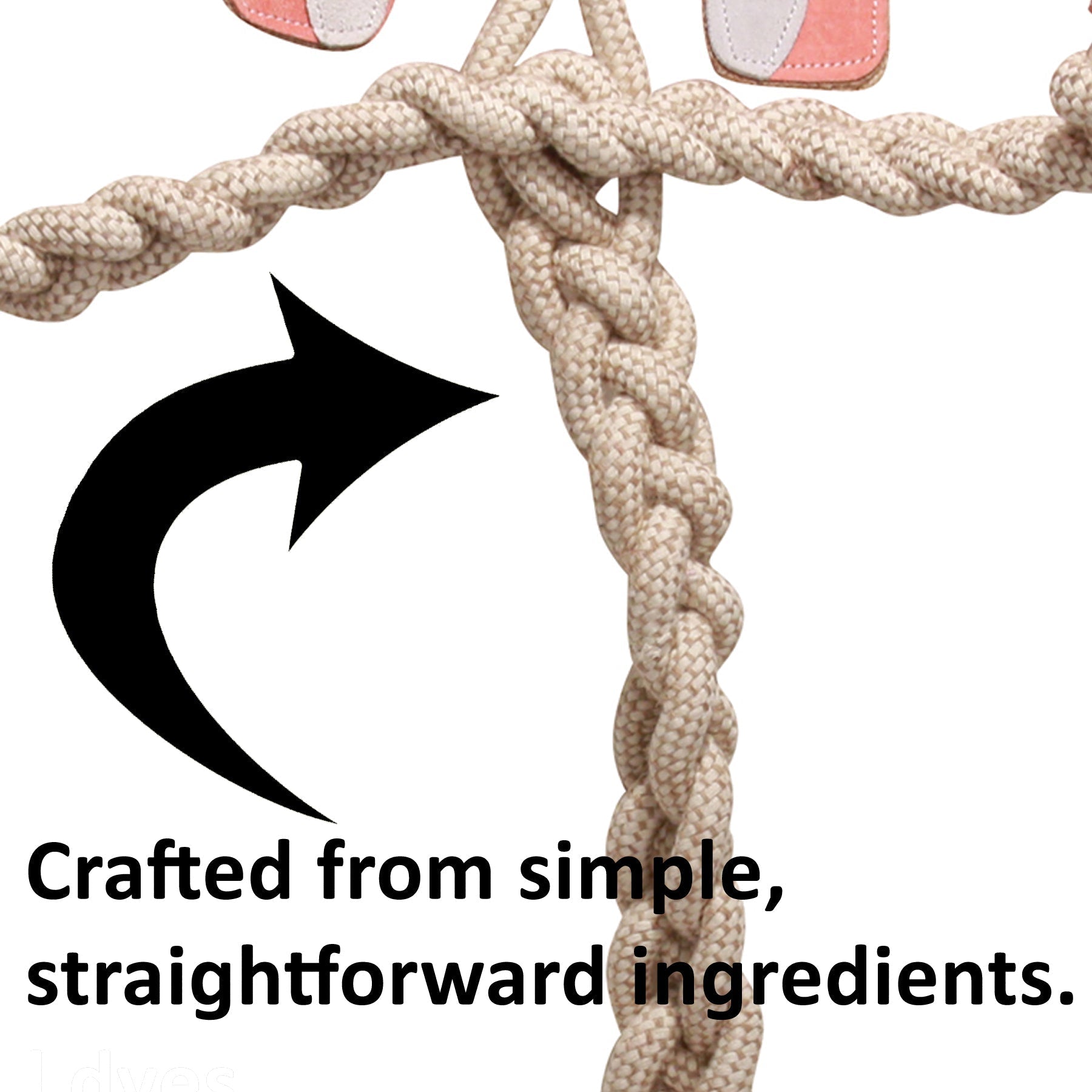 Pet Supply Product | The Finest Market