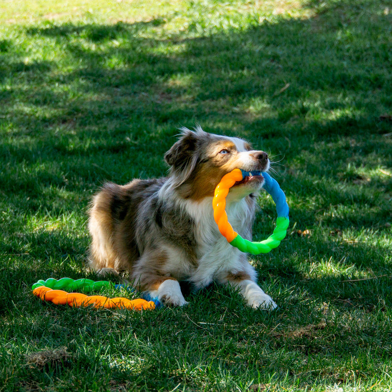 Dog Toy KONG Twistz Ring High Visibility Floating Chew Ring