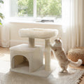 Small Cat Tree with Large Padded Plush Perch for Indoor Cats - Majestic Pet Kingdom