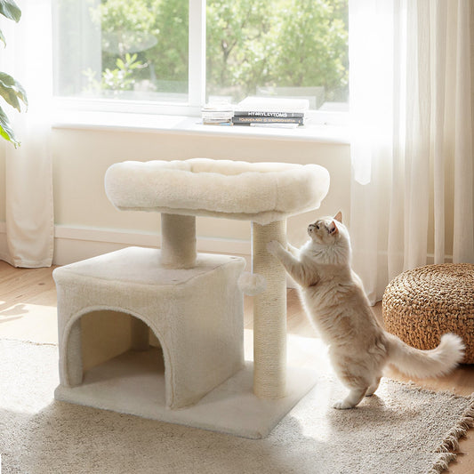Small Cat Tree with Large Padded Plush Perch for Indoor Cats - Majestic Pet Kingdom