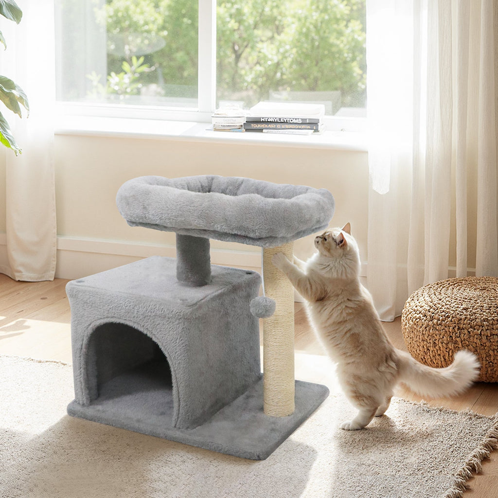 Small Cat Tree with Large Padded Plush Perch for Indoor Cats - Majestic Pet Kingdom