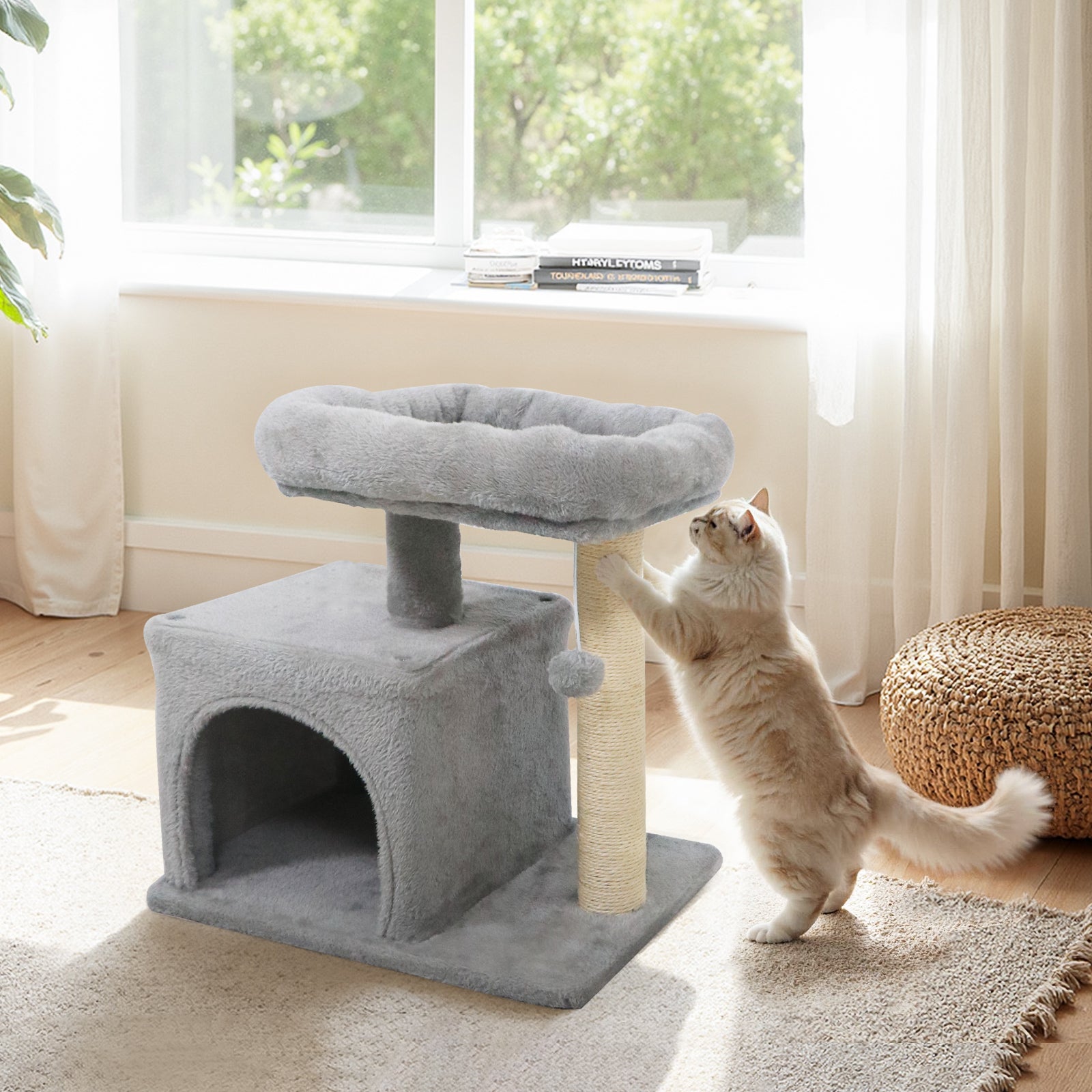 Small Cat Tree with Large Padded Plush Perch for Indoor Cats - Majestic Pet Kingdom