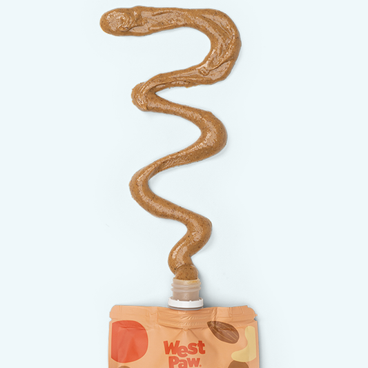 Nut Butter, Sweet Potato, and Chia Seed - Detail Angle 2 | Majestic Pet Kingdom