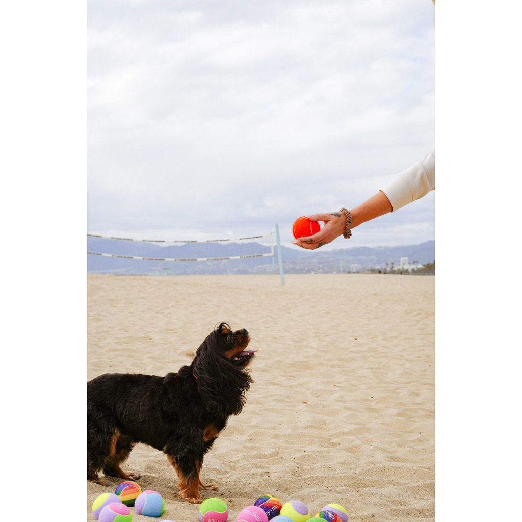 Tennis Ball for Dogs