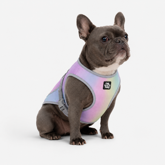 WildBreeze Cooling Vest - Majestic Pet Kingdom