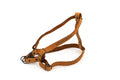Sport Style Leather Step In Harness Premium Quality Pro