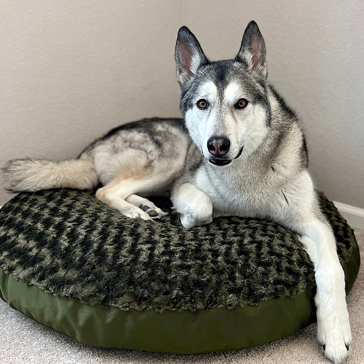 Dog Bed Round Furvana Soft Plush Shag Calming Lounger Mat