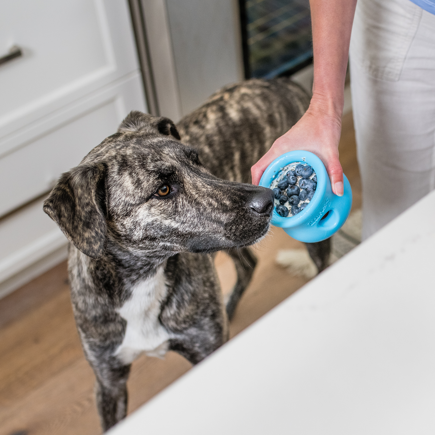 Toppl Customizable Treat Puzzle Dog Toy | Moderate Chewers