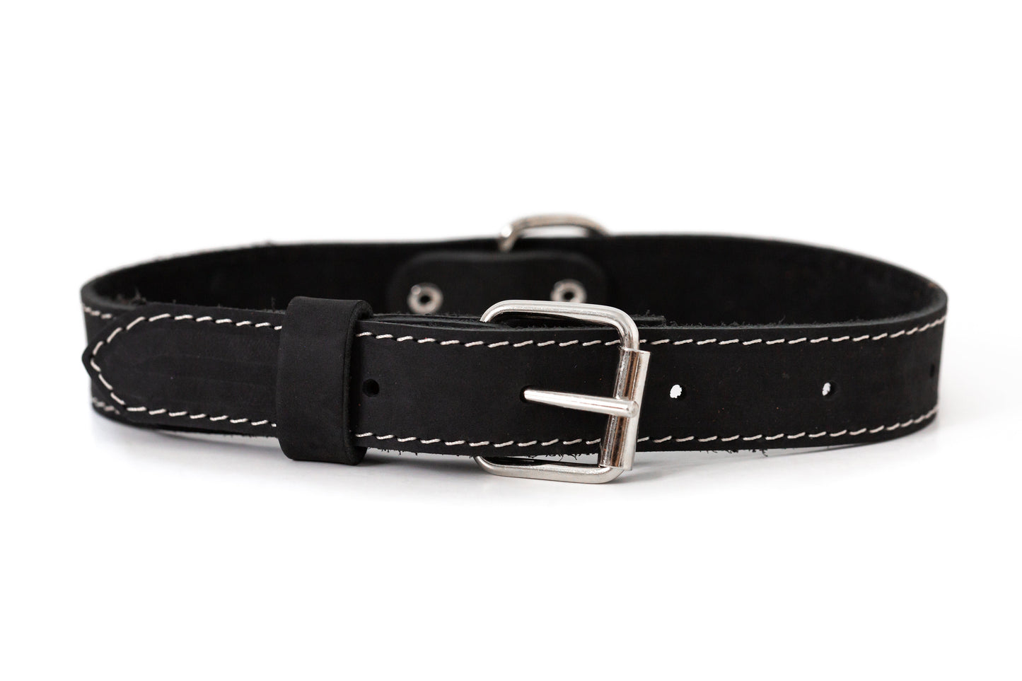 Pro Line Leather Hunting Dog Collar