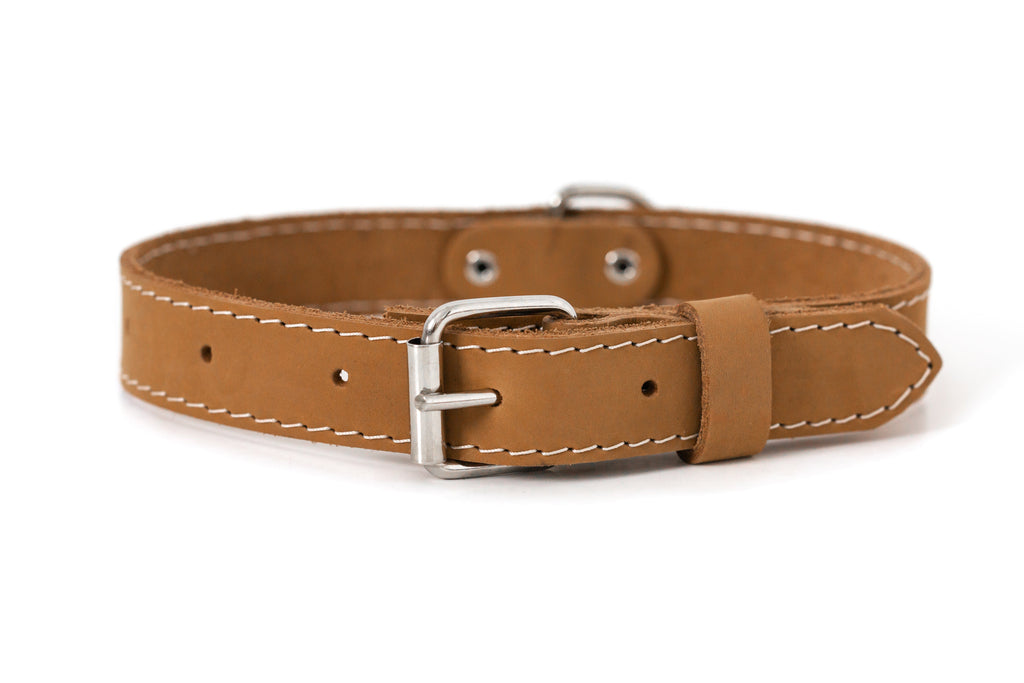 Pro Line Leather Hunting Dog Collar