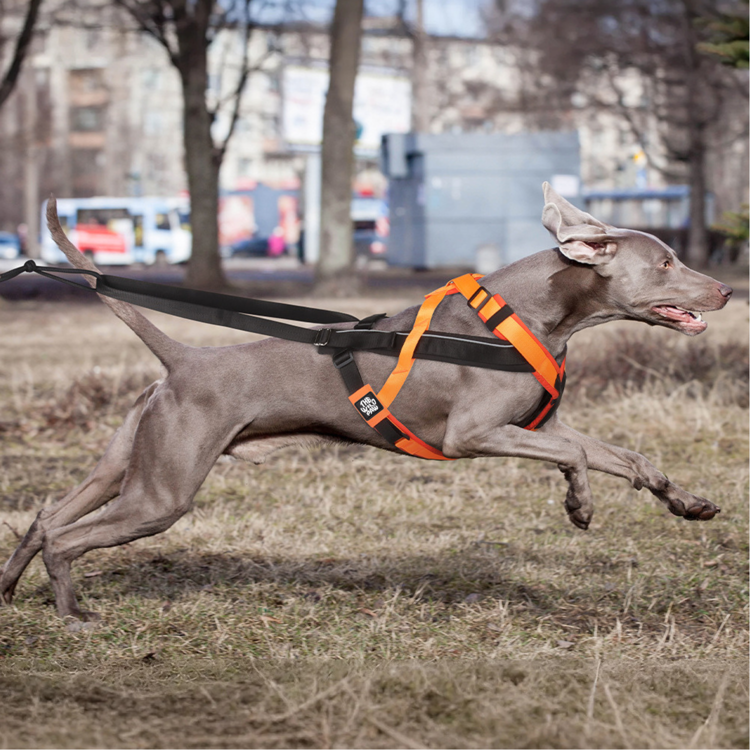TrailControl No-Pull Harness - Majestic Pet Kingdom