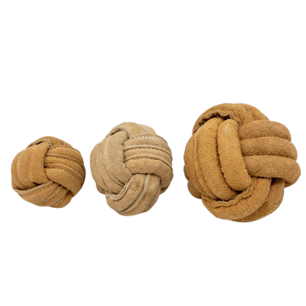Pet Supply Product | The Finest Market