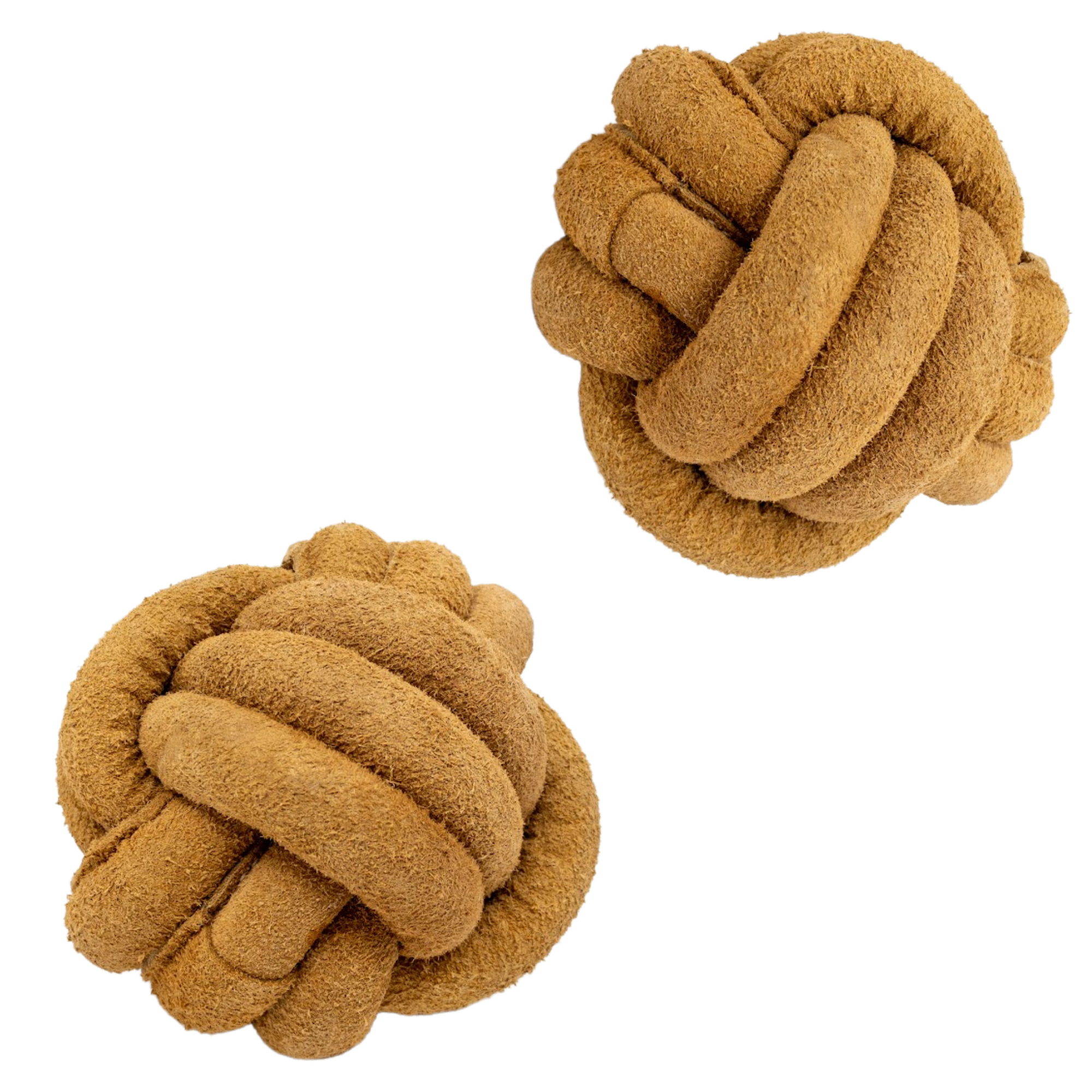 Pet Supply Product | The Finest Market