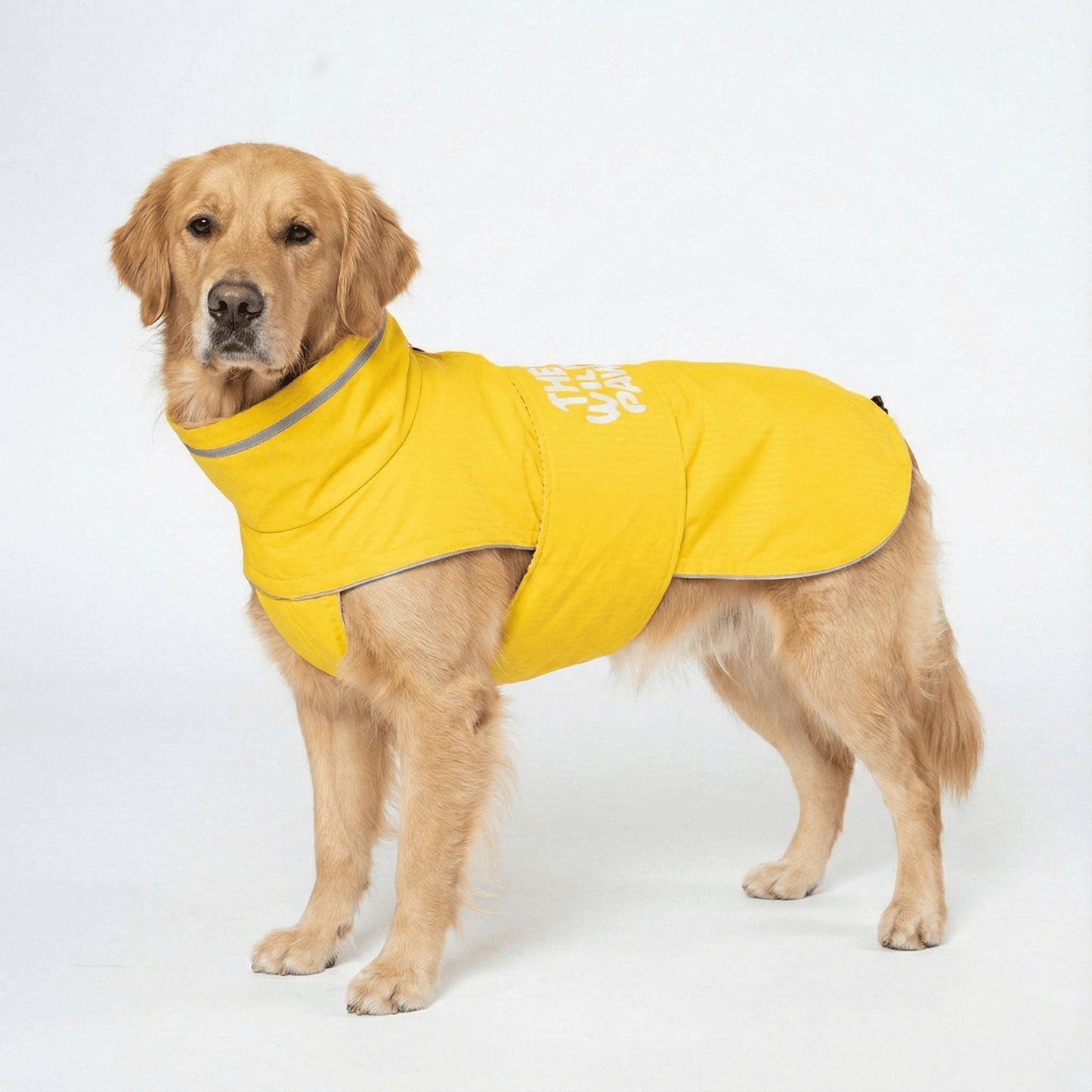 WildGuard Rain Coat - Majestic Pet Kingdom