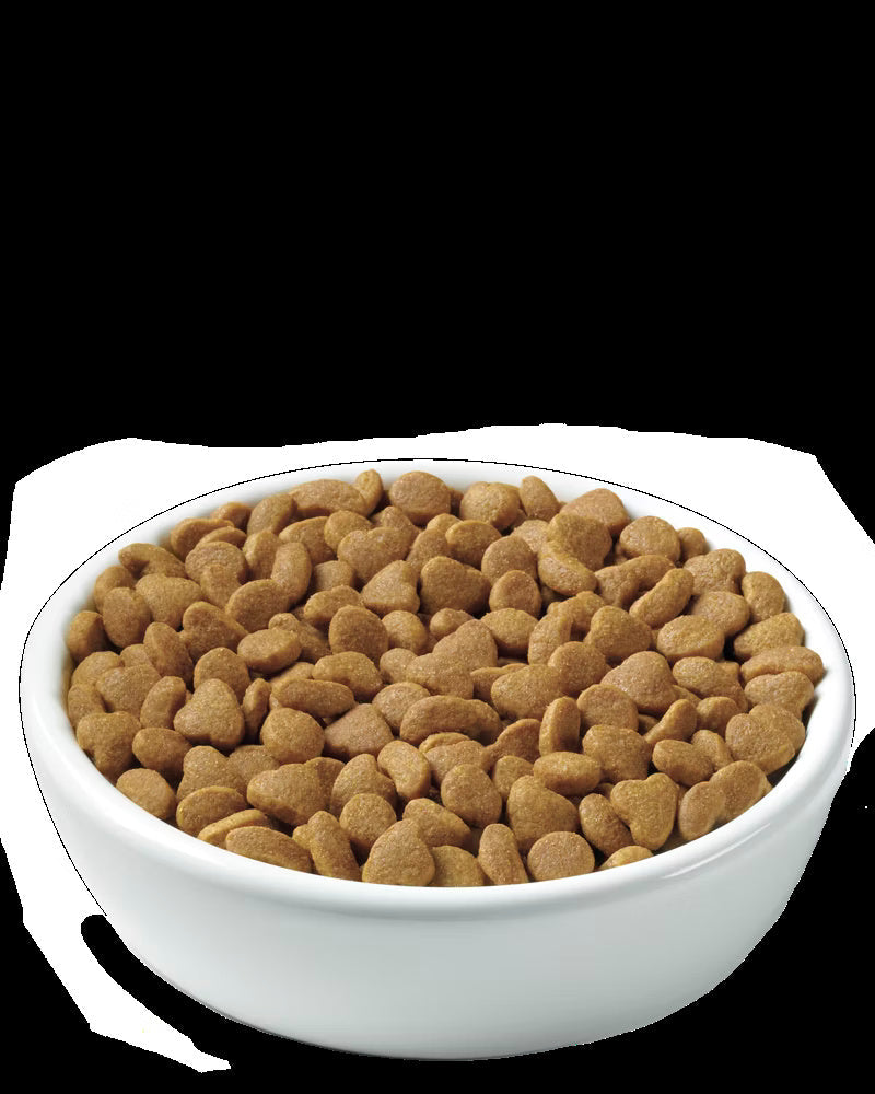 Cat Food Pro Plan Weight Management Chicken Rice Dry 3.5lb Bag - Detail Angle 2 | Majestic Pet Kingdom