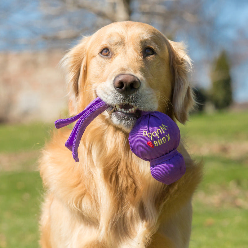 Dog Tug Toy KONG Classic Wubba Reinforced Nylon Tails Fetch