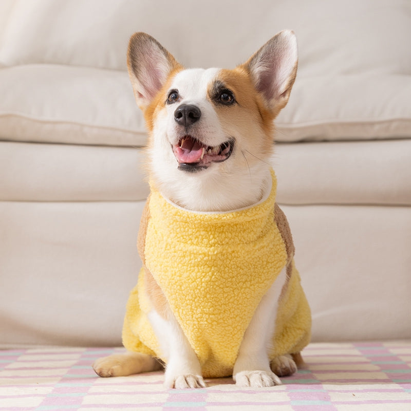 Cute Bear Embroidered Pet Fleece Jacket With Plaid Pockets, Warm Zippered Dog Coat With Leash Ring For Small Dogs - Majestic Pet Kingdom