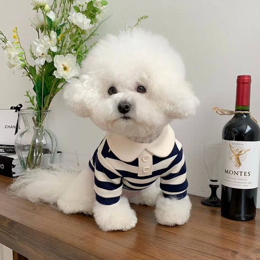 Pomeranian Poodle Small Dog Cat Dog Clothing - Majestic Pet Kingdom