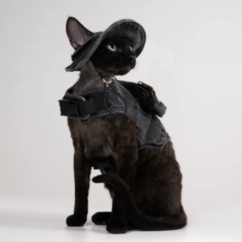 Adjustable Traction Vest And Fisherman's Hat Set For Walking A Cat In Devon. - Majestic Pet Kingdom