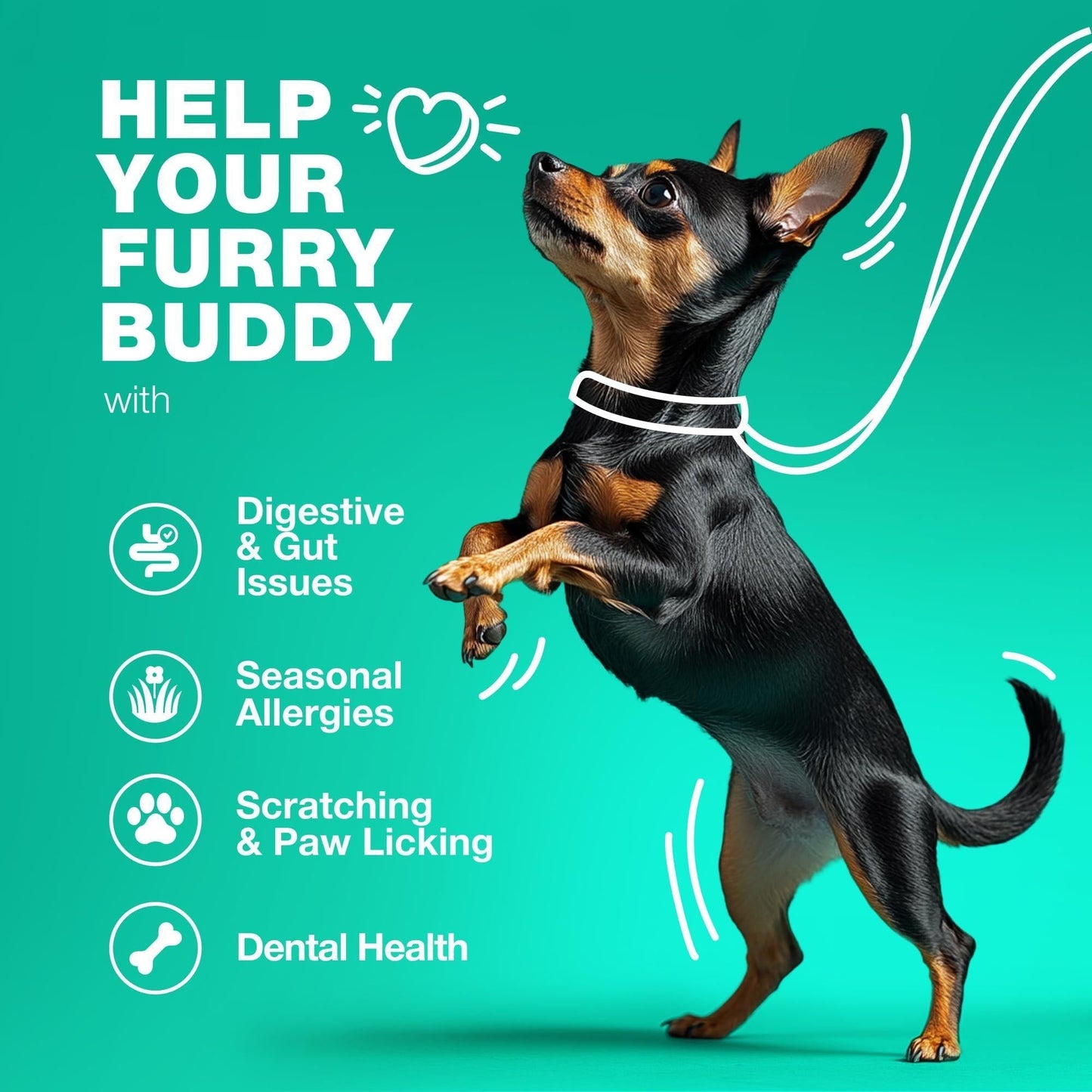 Dog Probiotics Digestive Enzymes Pumpkin Powder Gut Health - Detail Angle 3 | Majestic Pet Kingdom