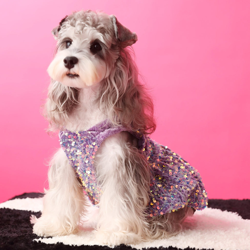 Female Dog Clothes Autumn Dress Velvet Sequins - Majestic Pet Kingdom