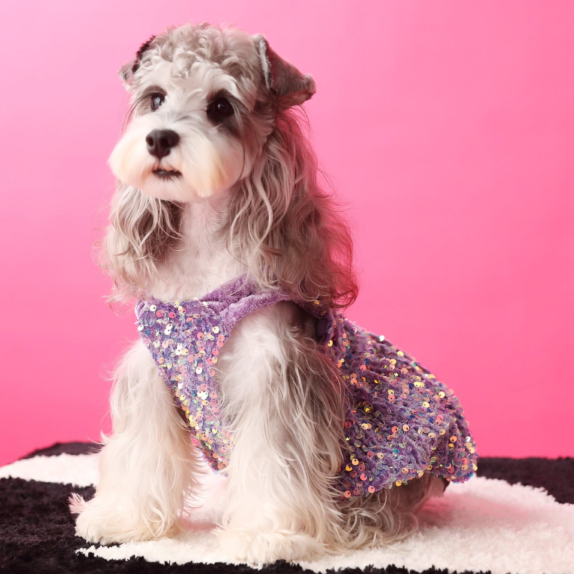 Female Dog Clothes Autumn Dress Velvet Sequins - Majestic Pet Kingdom