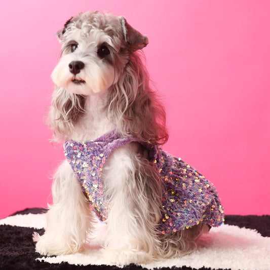 Female Dog Clothes Autumn Dress Velvet Sequins - Majestic Pet Kingdom