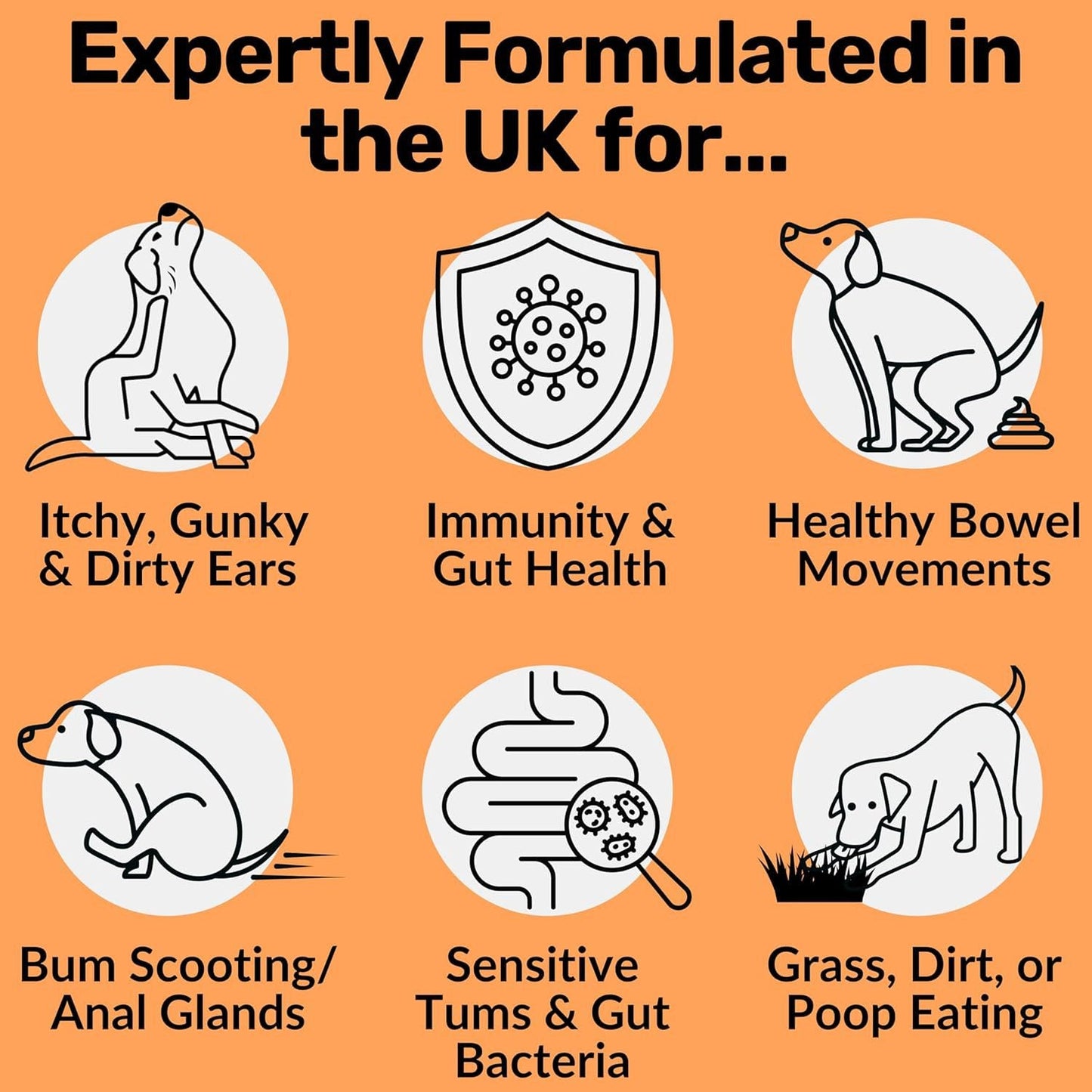 Luxury Pet Essentials - Purrfect Pet Kingdom™