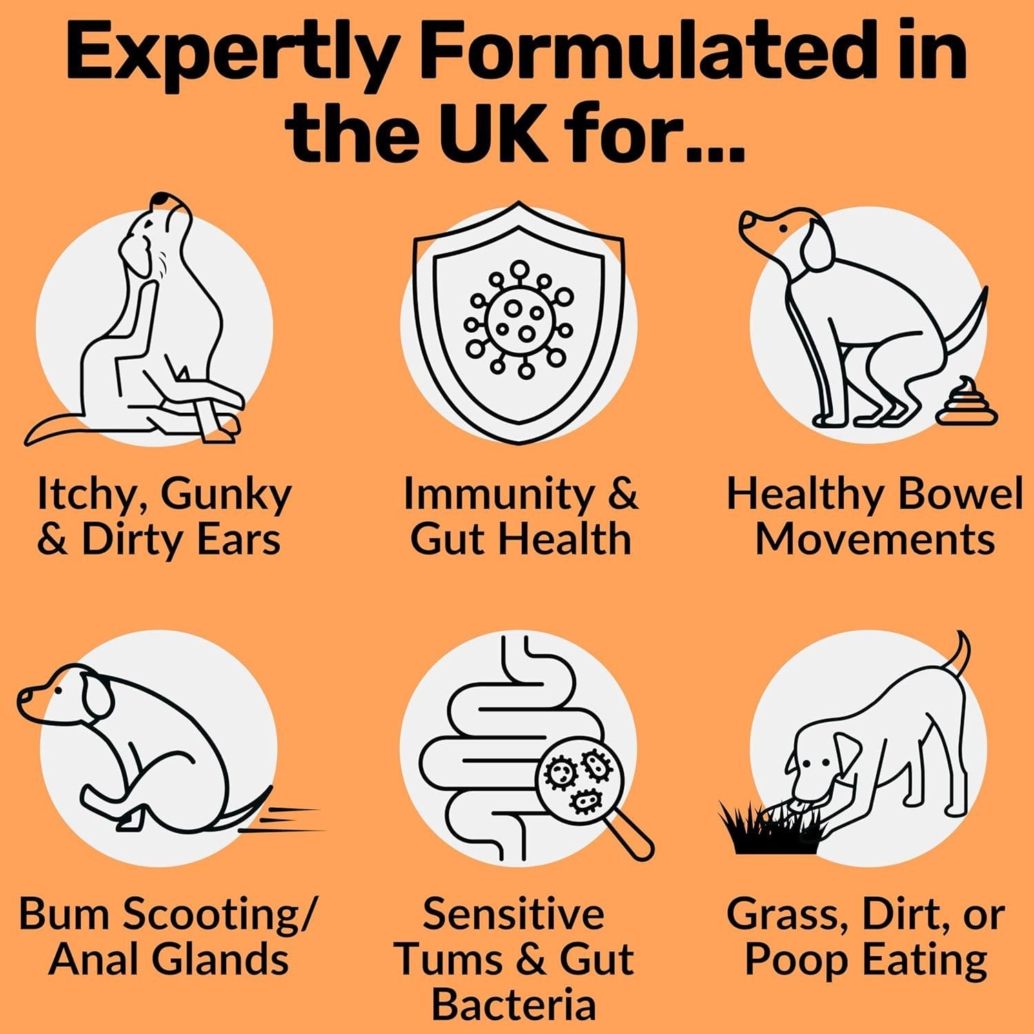 Luxury Pet Essentials - Purrfect Pet Kingdom™