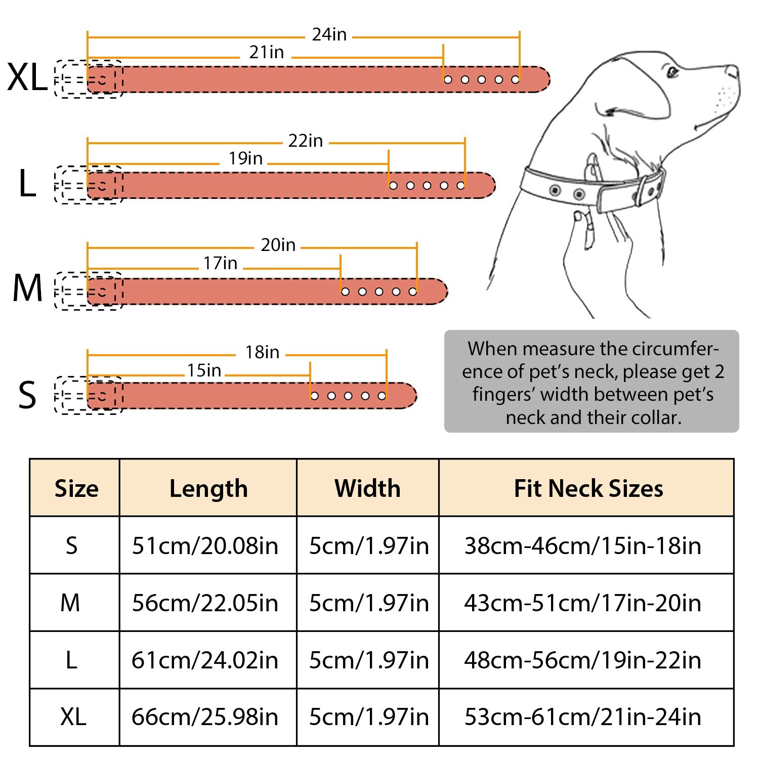 GBruno Dog Leather Collar Spiked | Purrfect Pet Kingdom