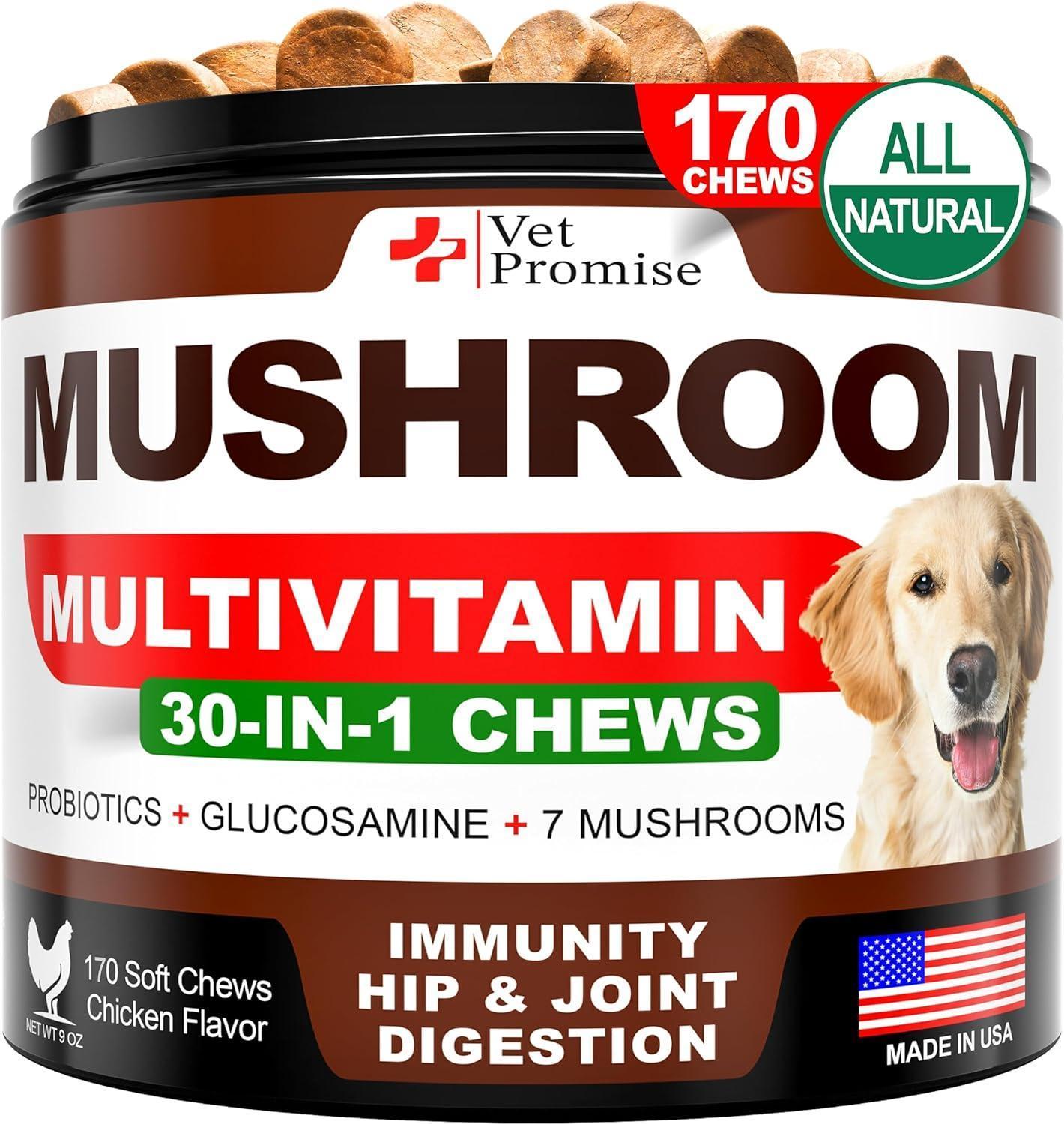 Dog Mushroom Chews Turkey Tail Lion's Mane Immune 170 Count - Main Feature View | Majestic Pet Kingdom